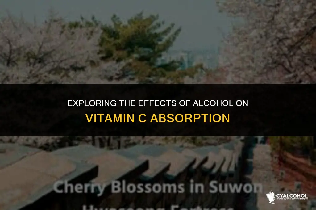 does alcohol neautrilize votamin c