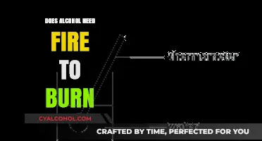 Can Alcohol Burn Without Fire? Exploring the Science Behind Combustion