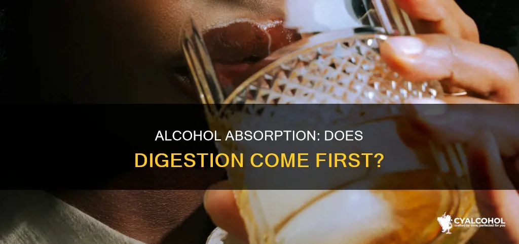 does alcohol need to be digested before it is absorbed