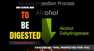Does Alcohol Require Digestion? Unraveling the Body's Processing Mystery