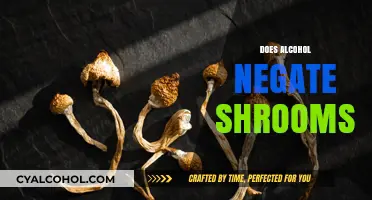 Alcohol and Shrooms: Understanding Their Interaction and Potential Risks