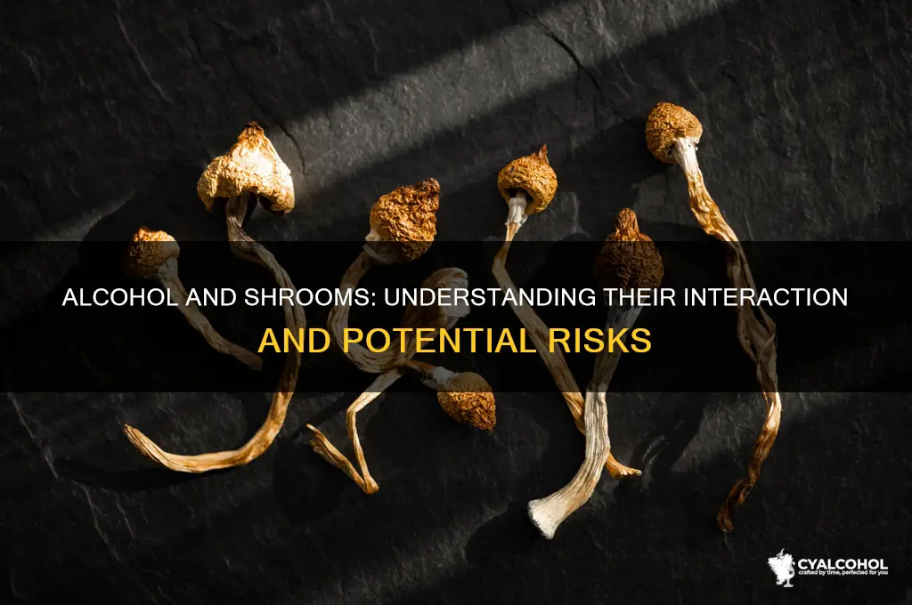does alcohol negate shrooms