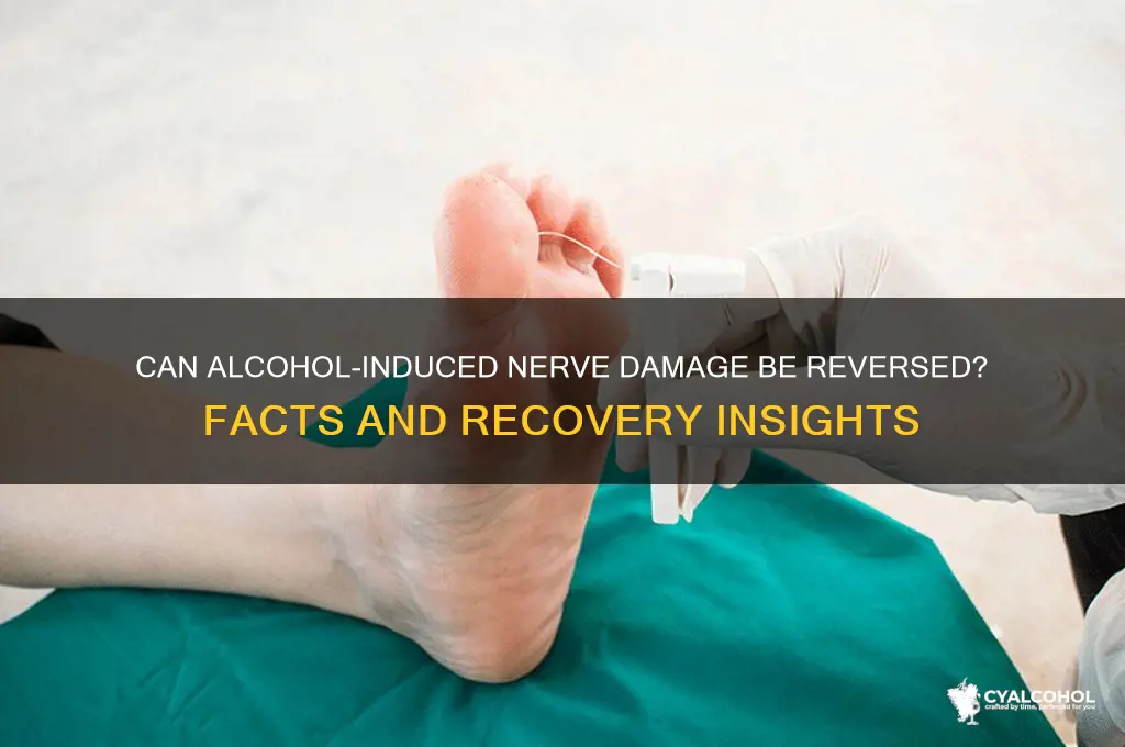 does alcohol nerve damage go away