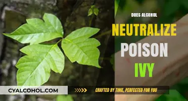 Exploring the Myth: Can Alcohol Really Neutralize Poison Ivy?