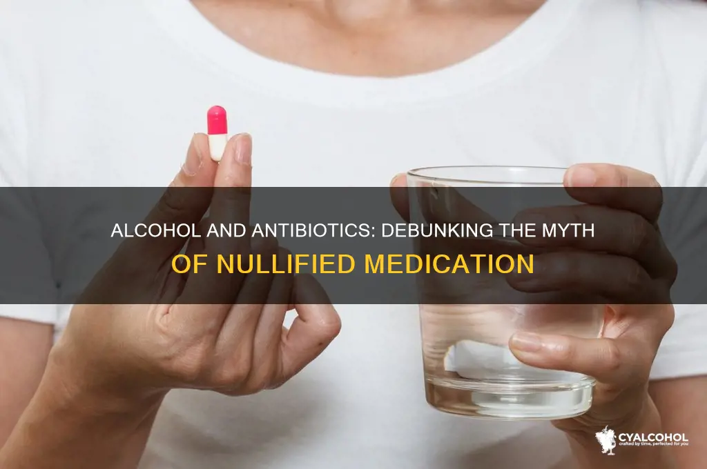 does alcohol nullify antibiotics