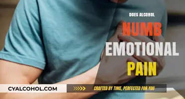 Alcohol and Emotional Pain: Does Drinking Really Numb the Hurt?