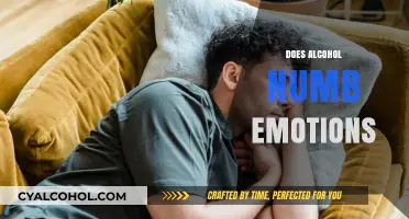 Does Alcohol Numb Emotions? Exploring the Truth Behind the Myth