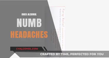 Alcohol and Headaches: Does Drinking Really Numb the Pain?