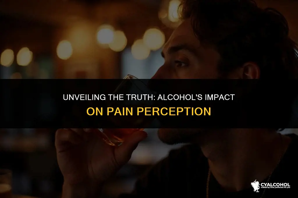 does alcohol numb pain receptors