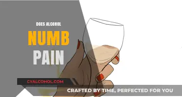Does Alcohol Numb Pain? Exploring the Truth Behind the Myth