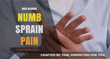 Exploring the Effects of Alcohol on Sprain Pain Relief