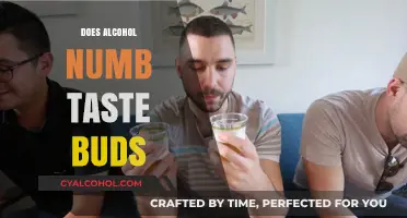 Exploring the Effects of Alcohol on Taste Perception