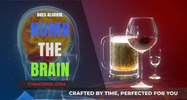 Exploring the Effects: Does Alcohol Really Numb the Brain?