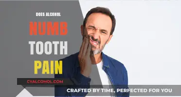 Does Alcohol Numb Tooth Pain? Exploring the Risks and Realities