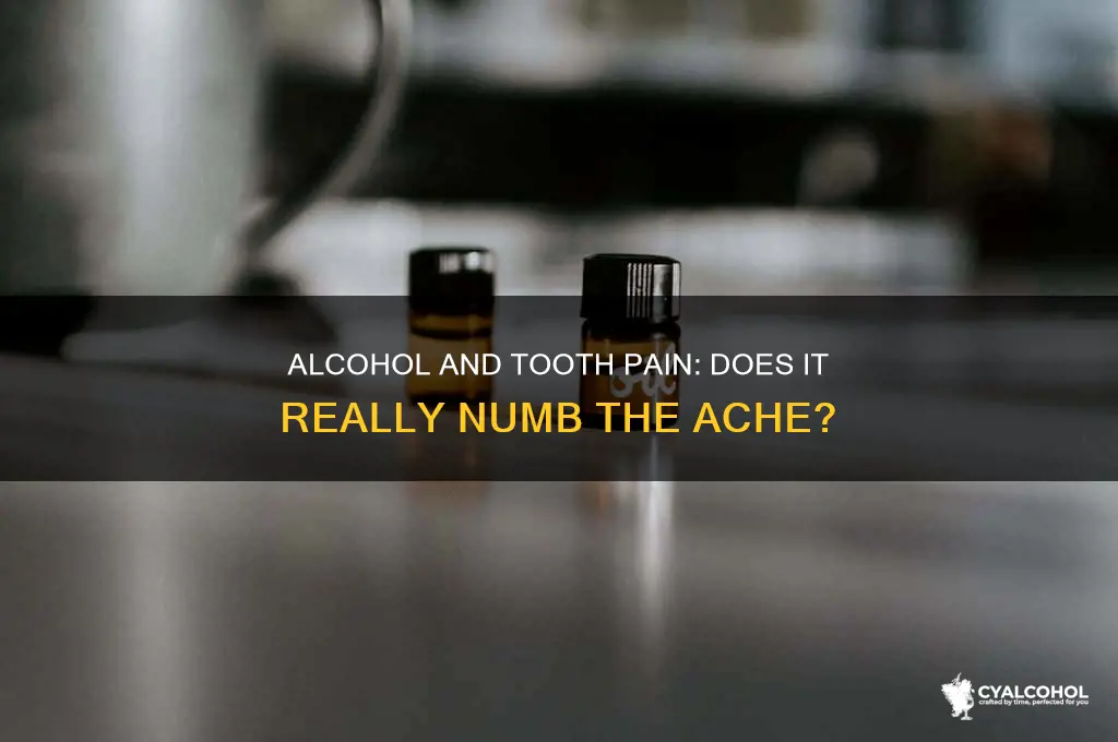 does alcohol numb toothache