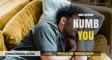 Does Alcohol Numb Emotions? Exploring the Truth Behind the Myth