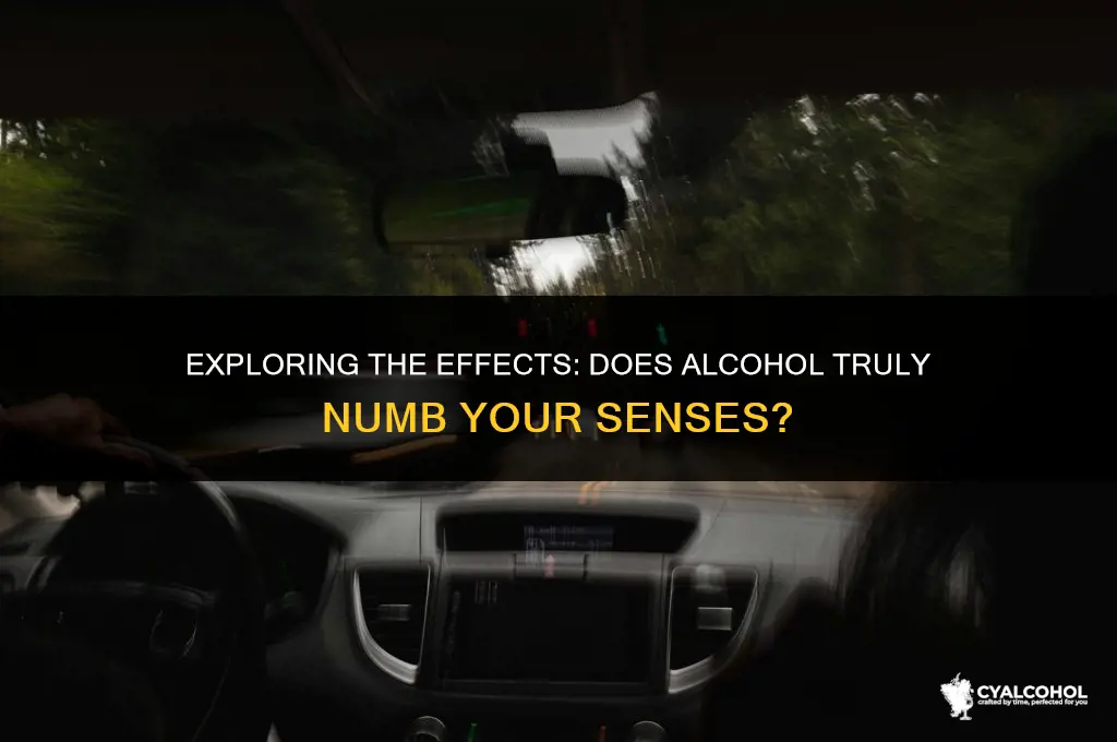 does alcohol numb your senses