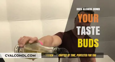 Does Alcohol Dull Your Taste Buds? Exploring the Sensory Impact