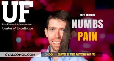 Does Alcohol Really Numb Pain? Exploring the Science and Risks