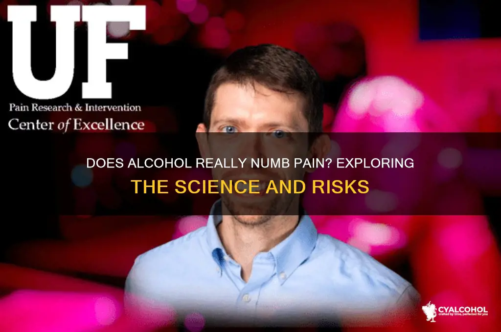 does alcohol numbs pain