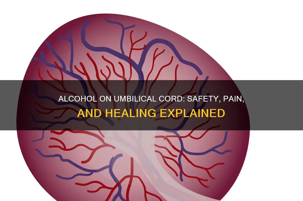 does alcohol on umbilical cord hurt