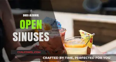 Alcohol and Sinus Relief: Myth or Effective Congestion Solution?