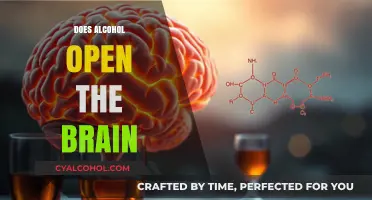 Exploring the Effects of Alcohol on Brain Function and Health
