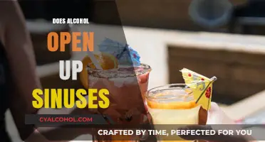 Unclogging Sinuses: The Surprising Truth About Alcohol's Effects