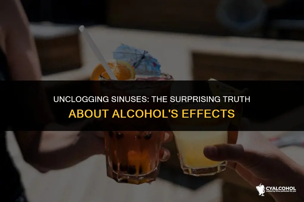 does alcohol open up sinuses