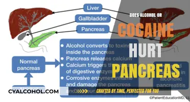 Alcohol vs. Cocaine: Which Causes Worse Pancreatic Damage?