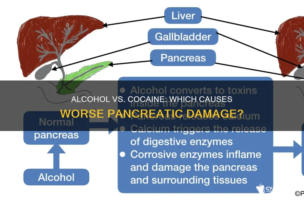 does alcohol or cocaine hurt pancreas