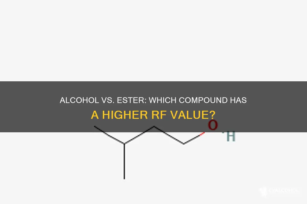 does alcohol or ester have greater rf value