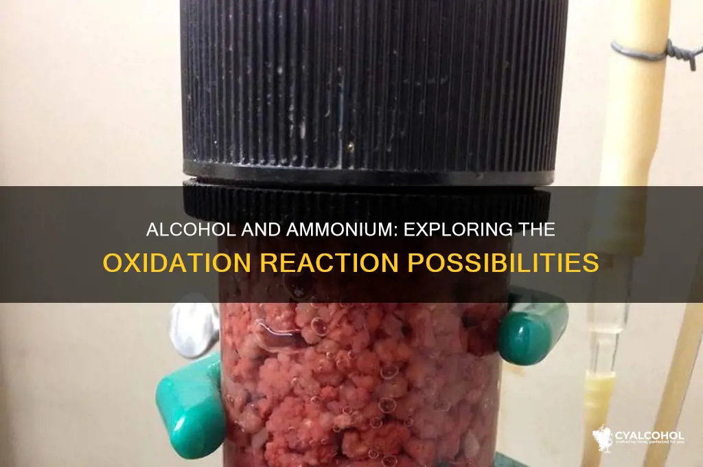 does alcohol oxidize ammonium