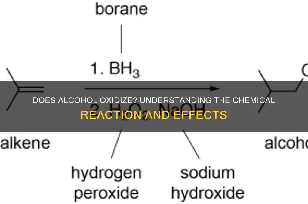 does alcohol oxidize