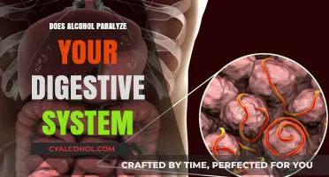 Alcohol's Impact: Does It Paralyze Your Digestive System?