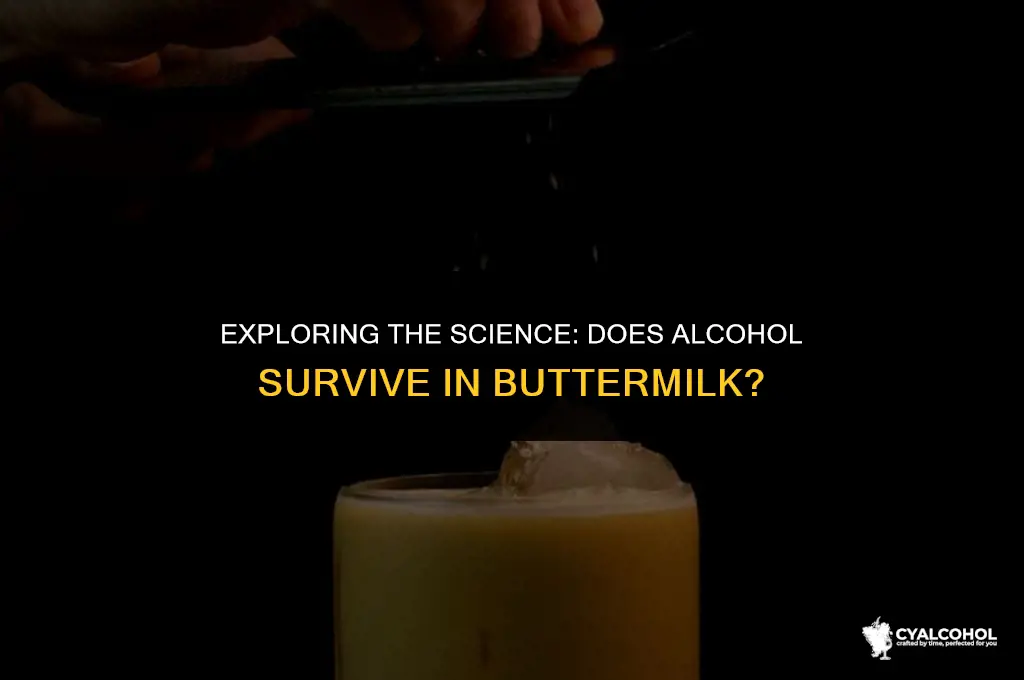does alcohol pass through buttermilk