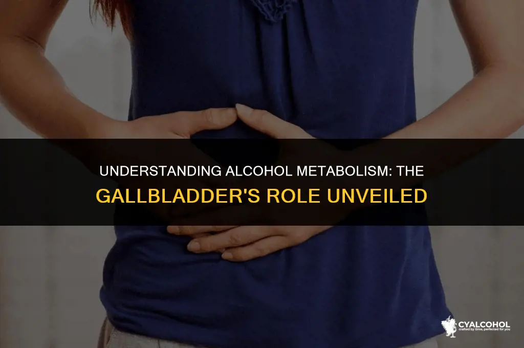 does alcohol pass through gallbladder