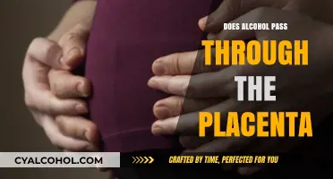 Alcohol and Pregnancy: Does It Cross the Placental Barrier?
