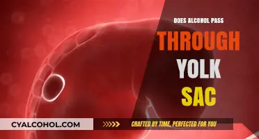Alcohol and the Yolk Sac: Understanding Fetal Exposure Risks