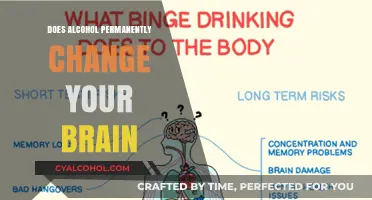 Alcohol's Lasting Impact: Does Drinking Permanently Alter Your Brain?
