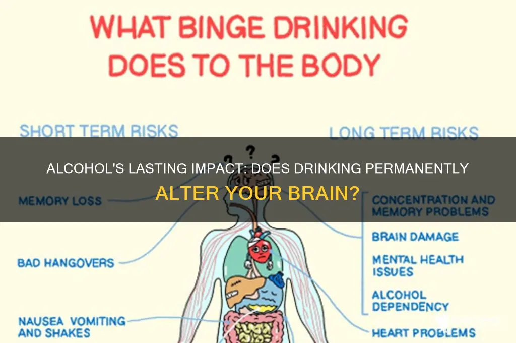does alcohol permanently change your brain