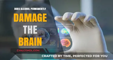Alcohol's Impact: Can Brain Damage from Drinking Be Permanent?