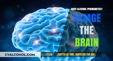 Alcohol's Long-Term Impact: Does It Permanently Damage the Brain?