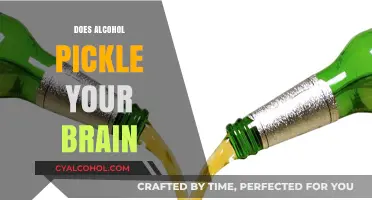 Exploring the Effects: Does Alcohol Really Pickle Your Brain?