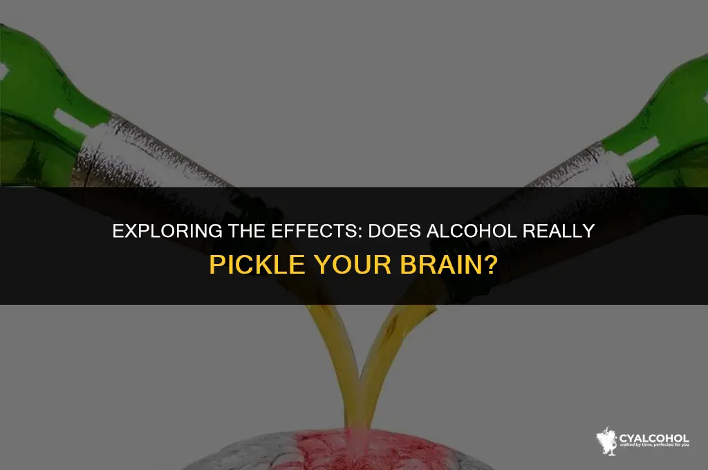 does alcohol pickle your brain