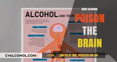 The Sobering Truth: Alcohol's Impact on Brain Health Revealed
