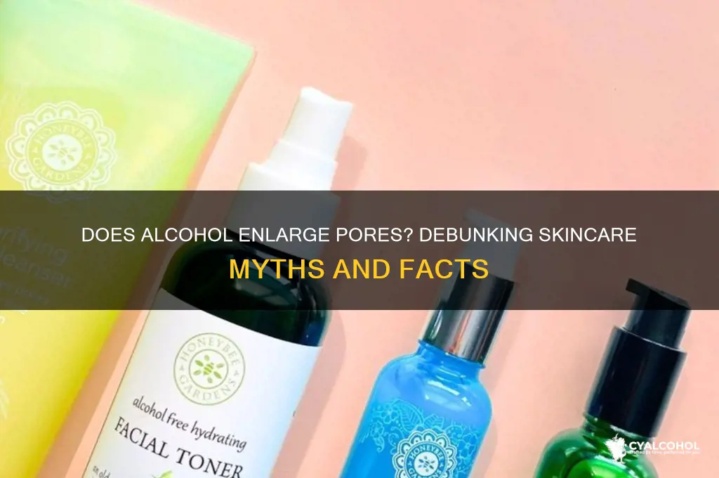 does alcohol pores