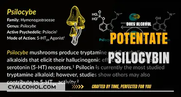 Alcohol and Psilocybin: Exploring Potential Interactions and Enhanced Effects