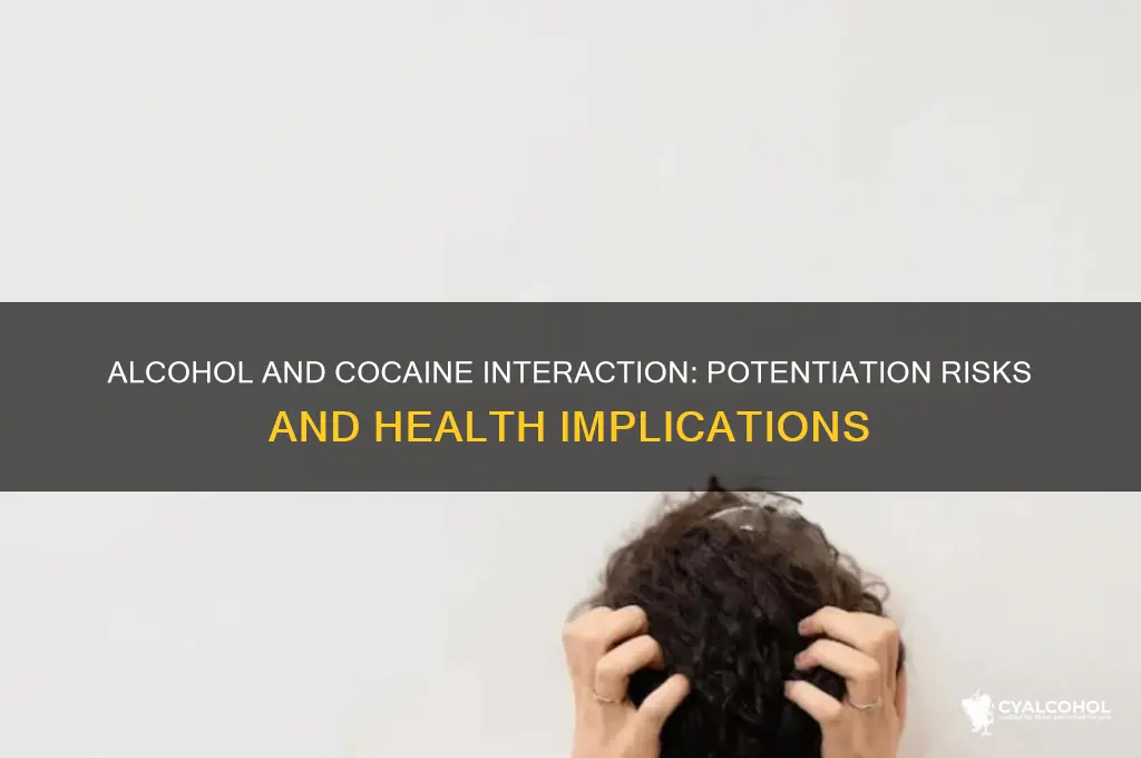 does alcohol potentiate cocaine