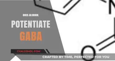 Alcohol and GABA: Unraveling the Potentiation Effect on Brain Chemistry